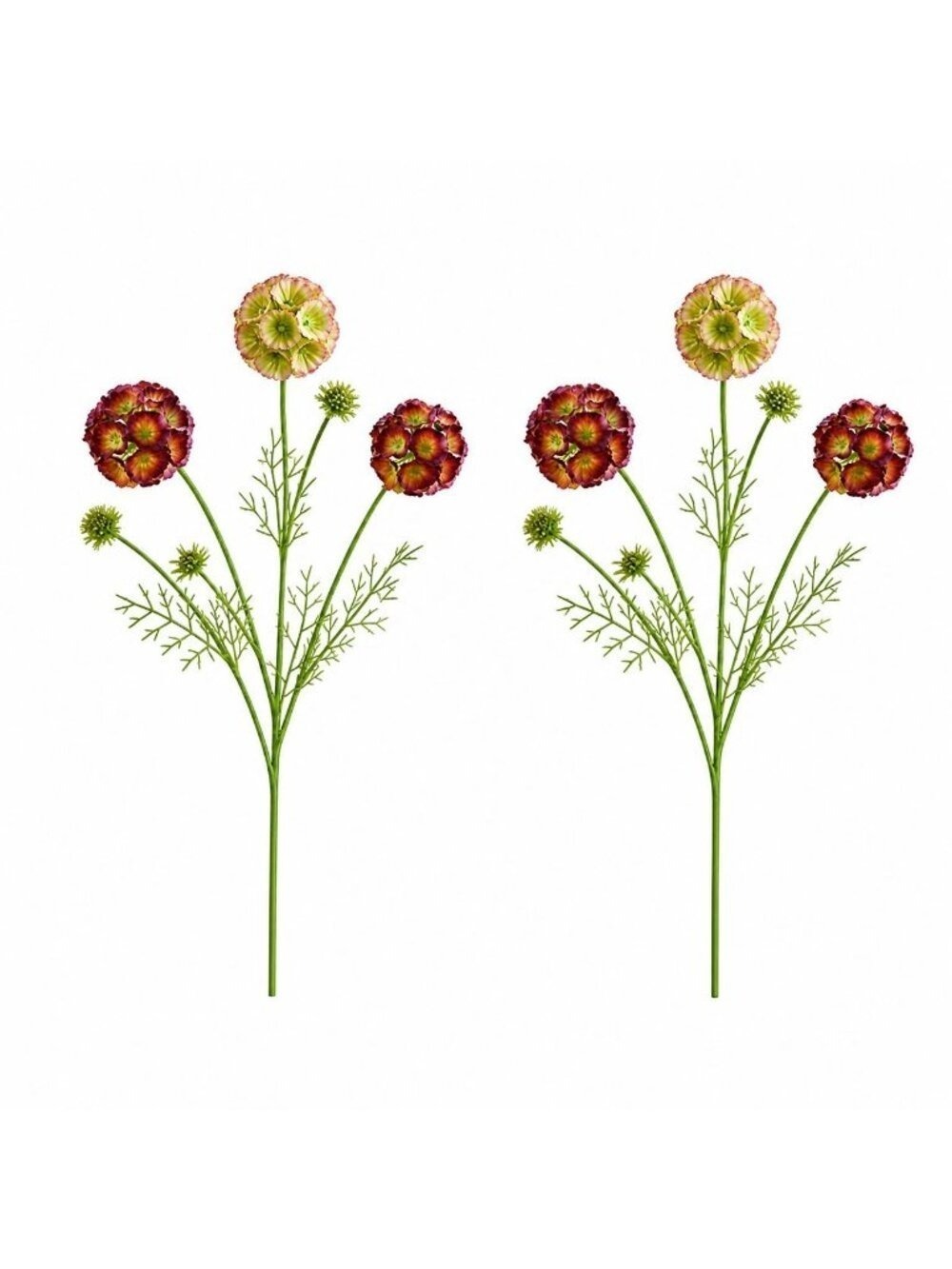 Scabiosa Flower Stems Green Blush Burgundy Faux Wildflower